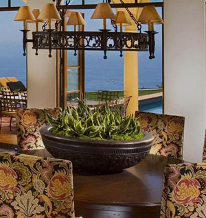residential interior plant