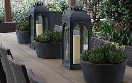 outdoor tabletop plants